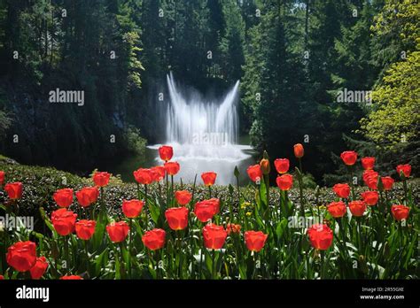 Ross Fountain At Butchart Gardens Victoria Vancouver Island British