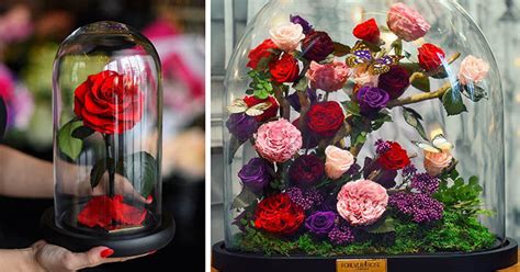 Forever Rose | Kúzelné ruže vydržia žiť a vyzerať pôvabne až niekoľko rokov