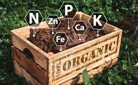 Всё про органический супергрунт | Семяныч