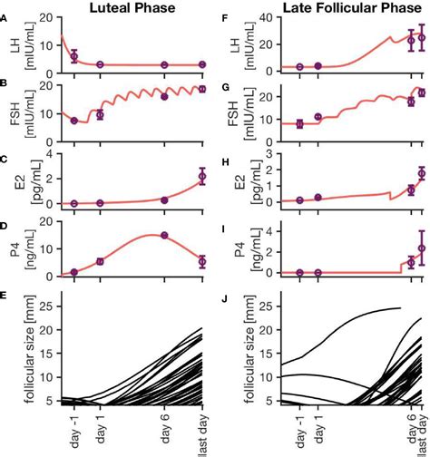 Frontiers Mathematical Modeling And Simulation Provides Evidence For