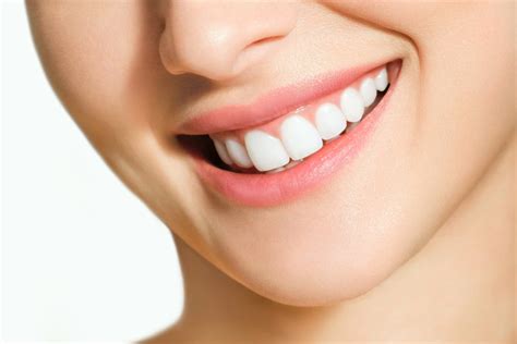 Qué son los dientes Clinica Dental Sonrisa Segura