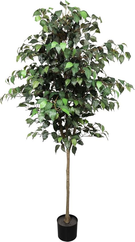ficus tree fake 2