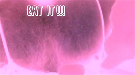 Free Sissy Bukkake Gay Porn Videos Xhamster