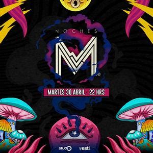 Noches M En Studio Valparaiso Presenta Edici N Especial Martes