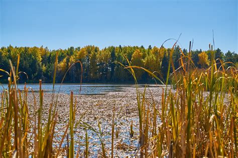 Montagnes Des Arbres Automne La Photo Gratuite Sur Pixabay Pixabay