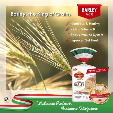 massimo bread   king  grains barley   facebook