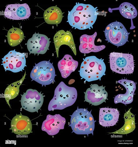 Set of innate immune system cells, cartoon cute funny vector ...