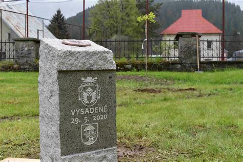 First COVID-19 Tree of Peace was planted in Slovakia - Tree of peace