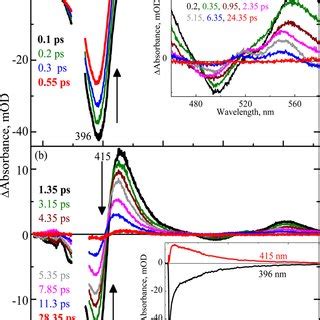 Femtosecond Time Resolved Transient Absorption Spectra Of Hemin Meso In