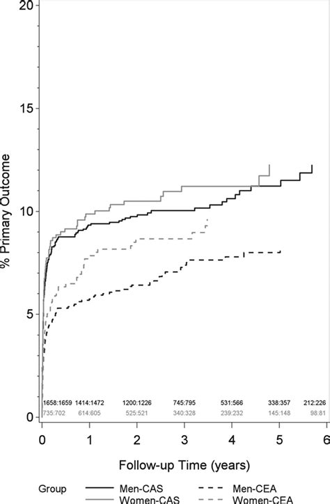 Absence Of Consistent Sex Differences In Outcomes From Symptomatic Carotid Endarterectomy And