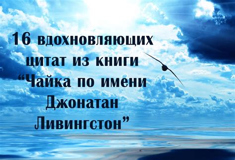 Вдохновляющие цитаты из книги Ричарда Баха «Чайка по имени Джонатан ...