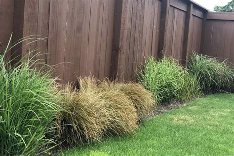 How To Cut Grass Next To Fence Storables