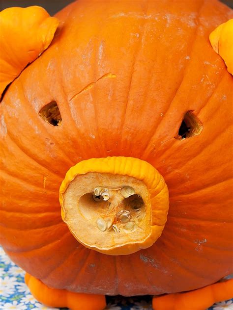how to keep carved pumpkin 8
