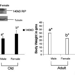 Age And Sex Dependent Changes In The Rip Level Of Mouse Liver A