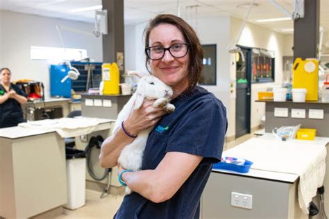 Celebrating Our Vet Nurses On National Vet Nurse Day Rspca Nsw