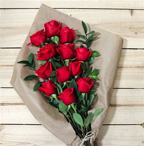 One Dozen Roses | Avas Flowers