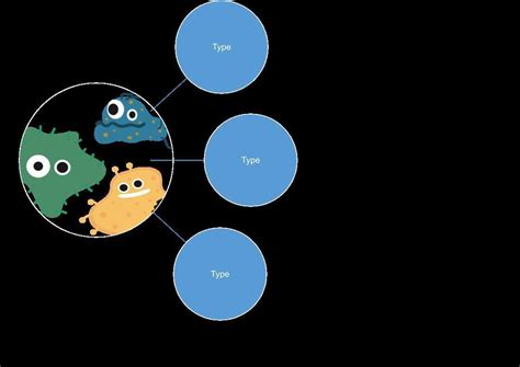 Use The Template To Make A Concept Map On Microorganisms Give The