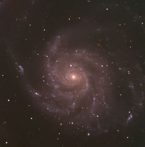 M101銀河に現れた超新星 Sn 2023ixf ぐんま天文台