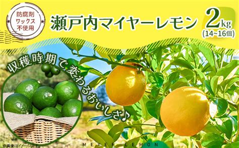 瀬戸内マイヤーレモン 約2kg レモン オレンジ 交配 品種 檸檬 れもん 柑橘 みかん 蜜柑 フルーツ / 山口県岩国市 | セゾンのふるさと納税