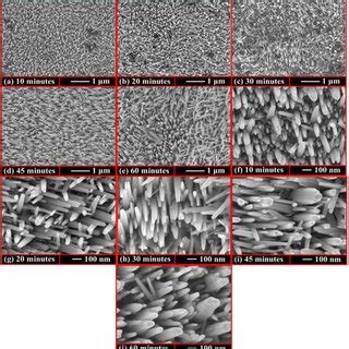 Top View SEM Micrographs Of ZnO Nanostructures Formed After The 70 C