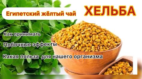 ХЕЛЬБА- ЕГИПЕТСКИЙ ЖЕЛТЫЙ ЧАЙ/ ПОЛЬЗА И ПОБОЧНЫЕ ЭФФЕКТЫ/СМОТРЕТЬ ВСЕМ ...