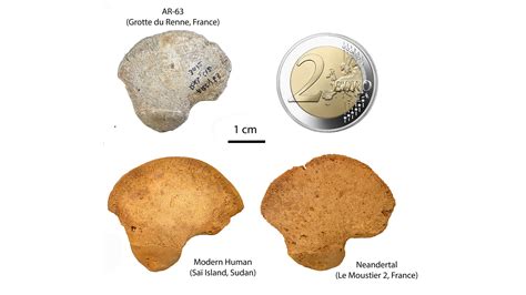 Unknown Anatomically Modern Human Lineage Discovered
