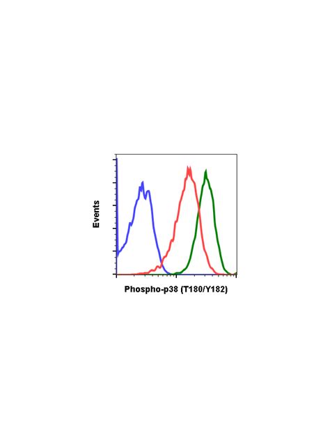 Phospho P Mapk T Y Recombinant Mab Abwiz Bio