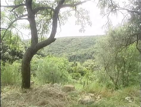 Outdoor Gefickt Episode Free Big Cock Porn Video E Xhamster