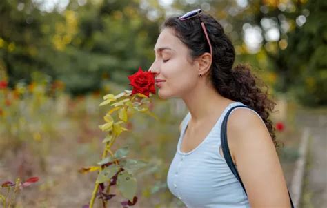 Wallpaper Long Hair Flowers Model Brunette Gorgeous Posing Beautiful Face Red Rose For