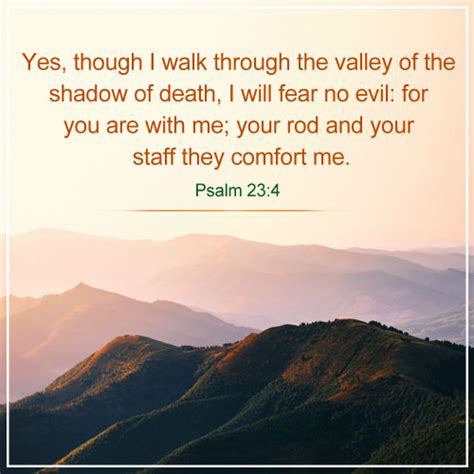 Meaning Of Psalm 234 I Will Fear No Evil For My God Is With Me