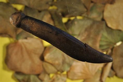 Stone Age Carving Ancient Dildo Live Science