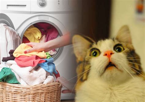 Можно вызвать пожар: какие вещи нельзя стирать в машинке. Новости ...