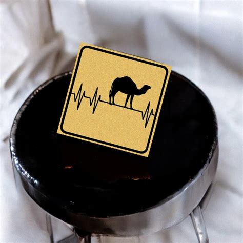 Collectible Camel Souvenir Fridge Magnets - Souvenir