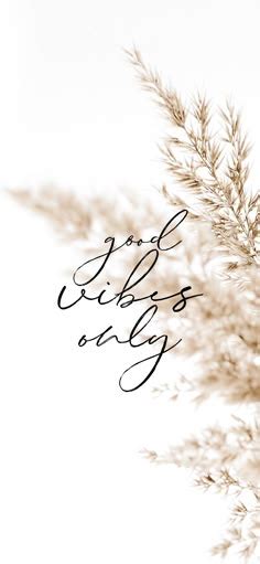 Ideas De Fondos De Pantalla Nude Ideas De Fondos De Pantalla Iphone Fondos De Pantalla