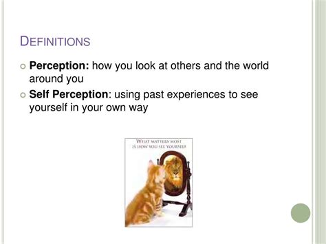 Ppt Perception And Self Perception Self Awareness Is The Key Powerpoint Presentation Id1094806