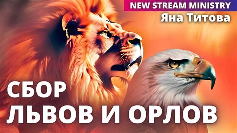 Сбор львов и орлов 8/7/24 NSM Yana Titov Israel - YouTube