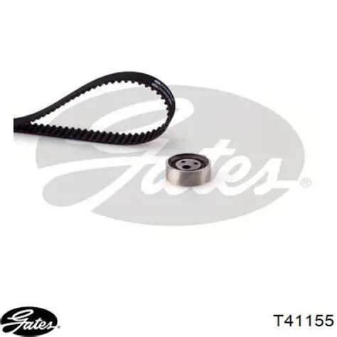 T41155 Gates rodillo, cadena de distribución