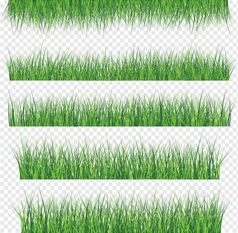 Green Grass Elements Set Png Pngwing