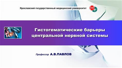 Гистогематические барьеры центральной нервной системы - YouTube