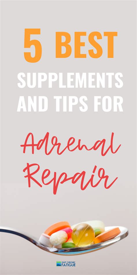 What Is The Best Adrenal Support Supplement Artofit