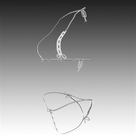 Sexy Lingerie SS D Model By RumenD