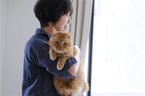 飼い主さんと猫たちの幸せの法則│フェリシモ猫部