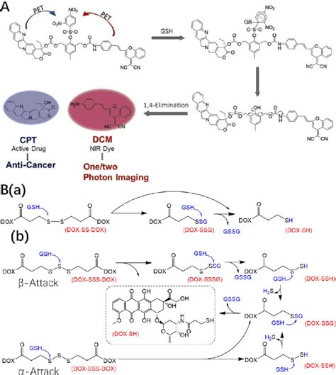 A Schematic Illustration Of Gsh Triggered Cpt And Nir Dye Synchronous