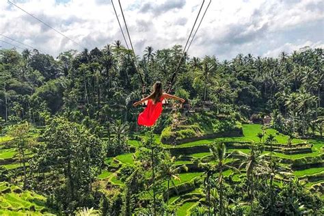 Easy Way To Reach Tegalalang Rice Terrace Bali Swing