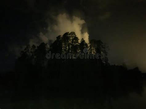 Dark forest at night stock image. Image of morning, fantasy - 202698827