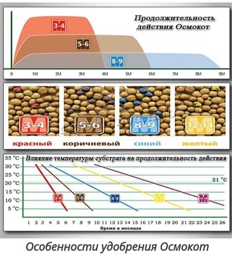 Осмокот для цитрусовых растений, какой выбрать. | Светлана Шунина | Дзен