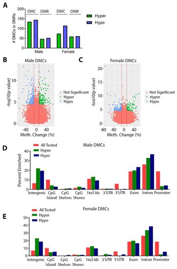 Perinatal Lead Exposure Promotes Sex Specific Epigenetic Programming Of