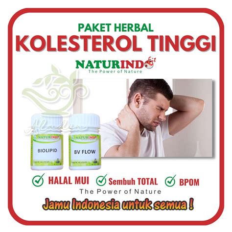 Jual Paket Kolesterol Tinggi Dan Darah Tinggi Obat Herbal Kolesterol