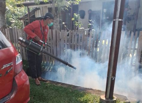 Warga Terserang DBD Rumah Difogging