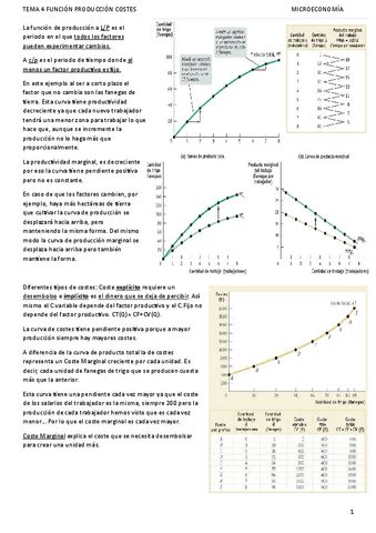 TEMA 4 FUNCION PRODUCCION COSTES Pdf